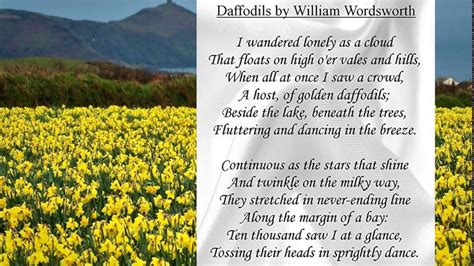 william wordsworth daffodils youtube