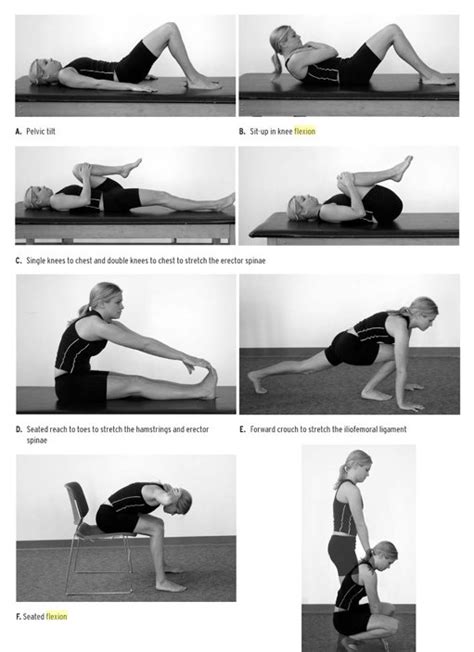 Williams Flexion Exercises Pdf