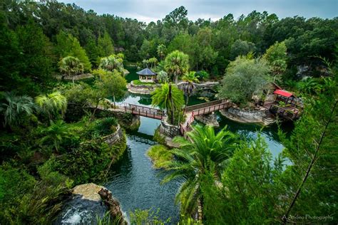 williston florida
