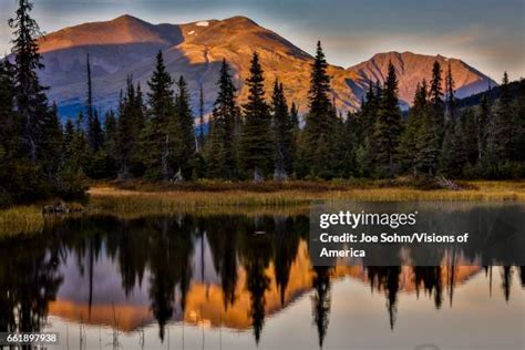 willow alaska