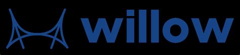Willowpays Processing Faq