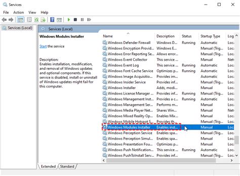 Windows Installer Worker Module