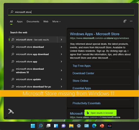 windows store missing