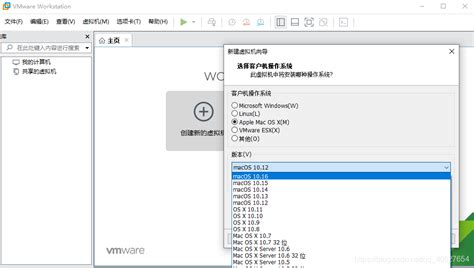 Windows10 Vmware Workstations 下载