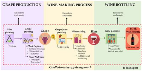 Wine Analysis And Production