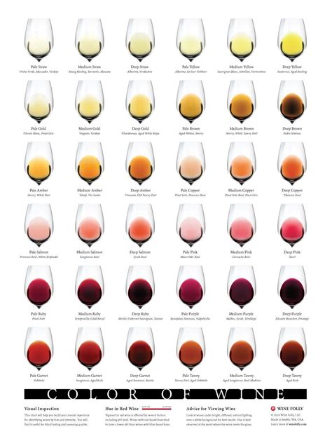 wine colors