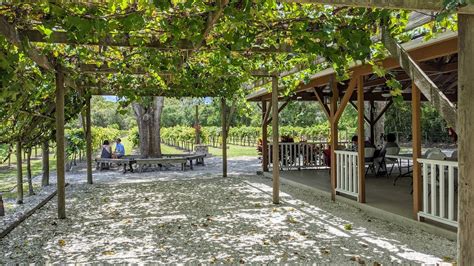 wineries in florida