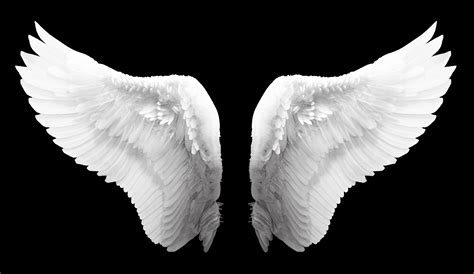 wingss