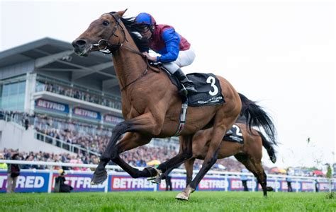 winner.com casino luxembourg