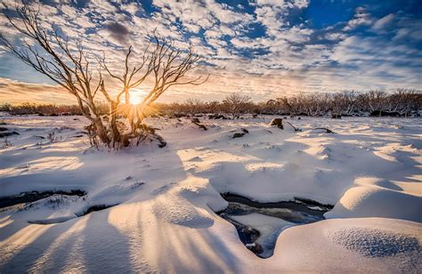 WINTER AUSTRALIA：When is Winter in Australia? State-by-State Details - Reeves