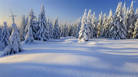 WINTER BACKGROUND：Winter Wallpapers - Top Free Winter Backgrounds - WallpaperAccess