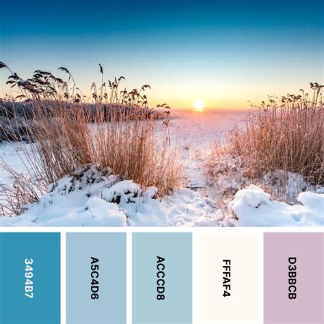 winter color