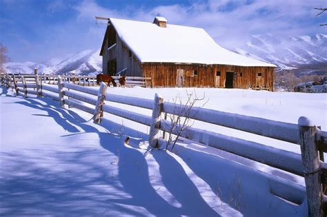 winter farm pictures