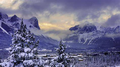 winter in the wilderness a field guide to primitiv