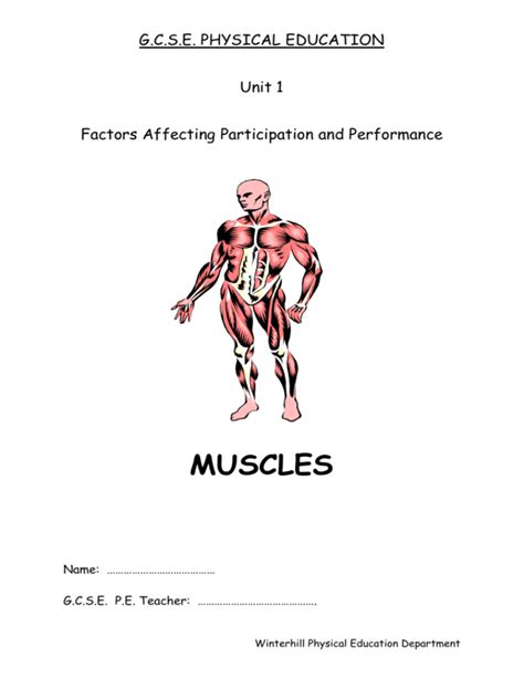 Read Winterhill Physical Education Department Muscles Answer 