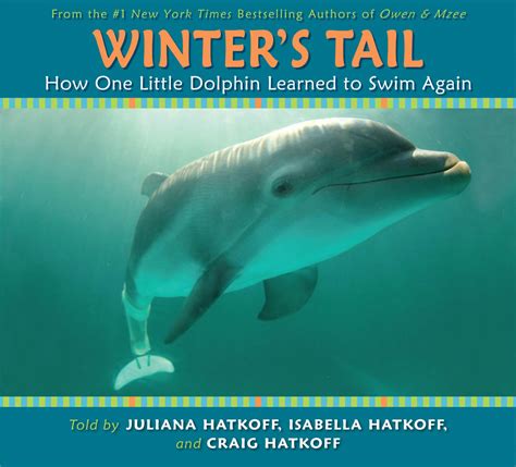 Read Online Winters Tail How One Little Dolphin Learned To Swim Again 