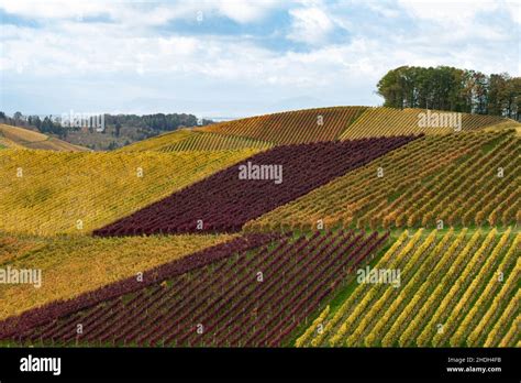 winzerkuche wurttemberg