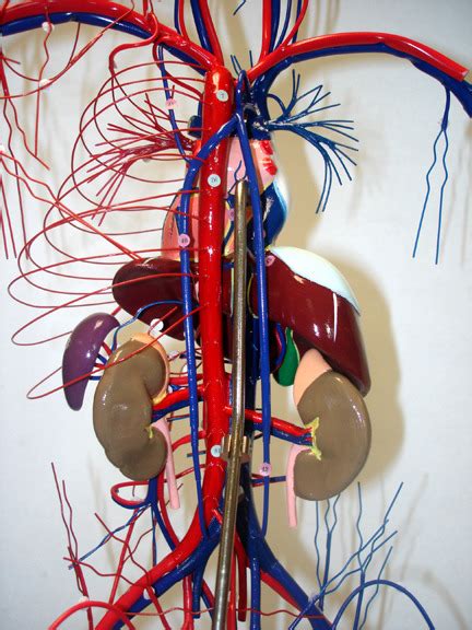 Wire Man Model