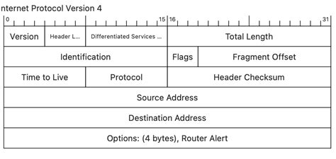 wireshark for dummies