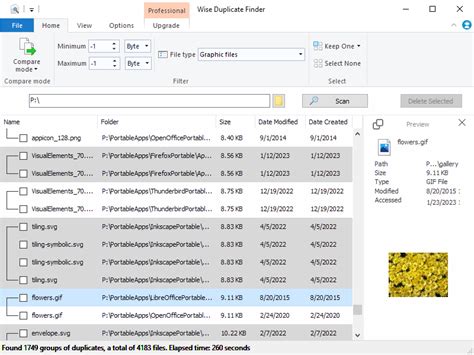 Wise Duplicate Finder
