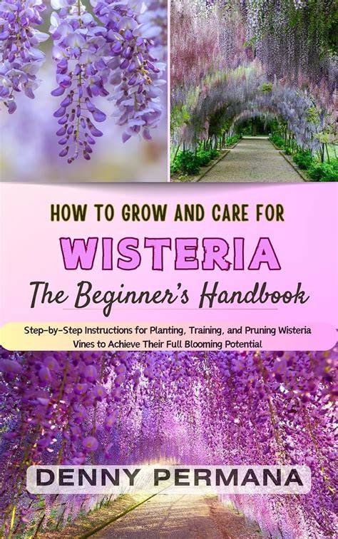wisteria the complete guide