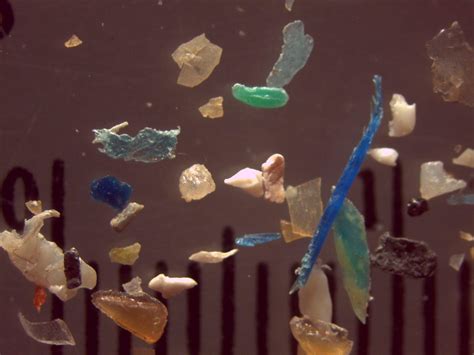 With Microplastics Scientists Are In A Race Against Science Air - Science Air