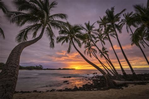 with sunsets and Aloha.