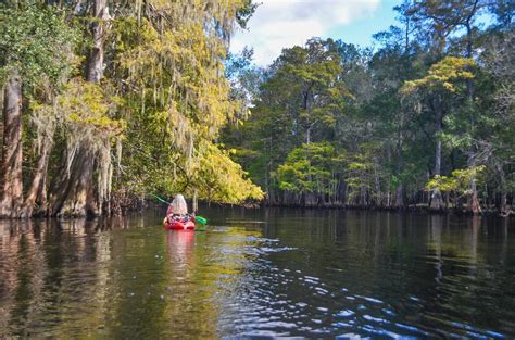 withlacoochee florida
