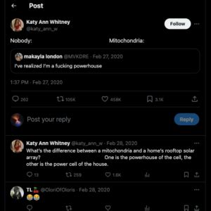Witty Twitter Posts