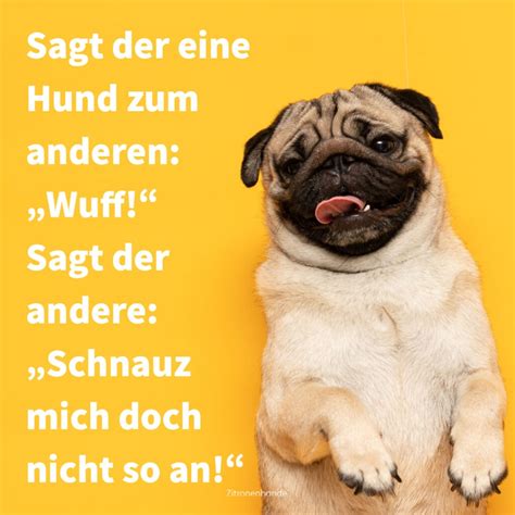 Witz über Männer