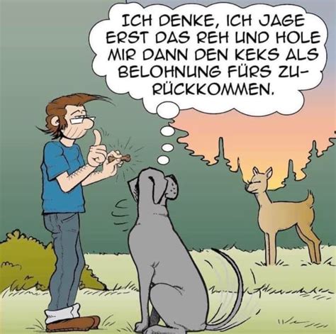 Witze über Tiere