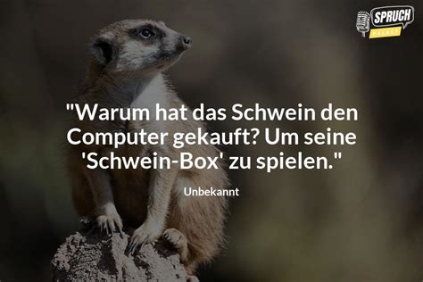 Witze Mit Tieren
