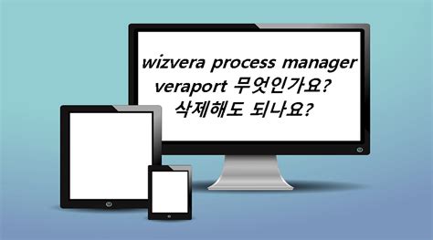 wizvera process manager