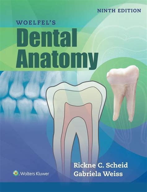 Read Woelfels Dental Anatomy 