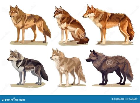 wolf colors