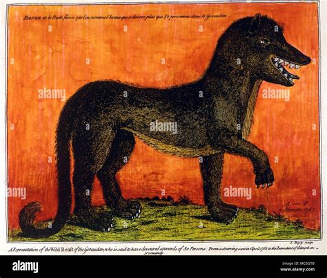 Wolf Of Gevaudan