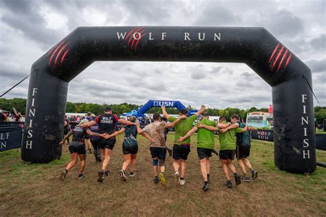 Wolf On The Run
