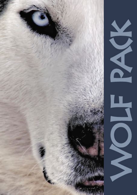 Wolf Pack Sats Papers 2013
