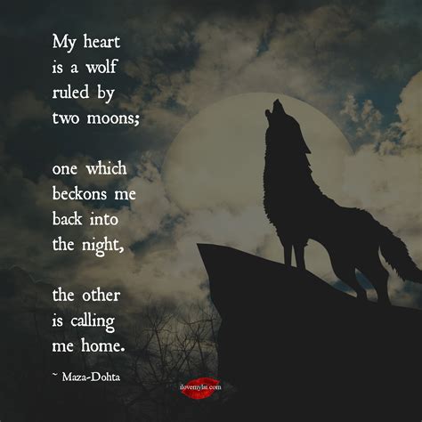 Wolf Quotes About Love