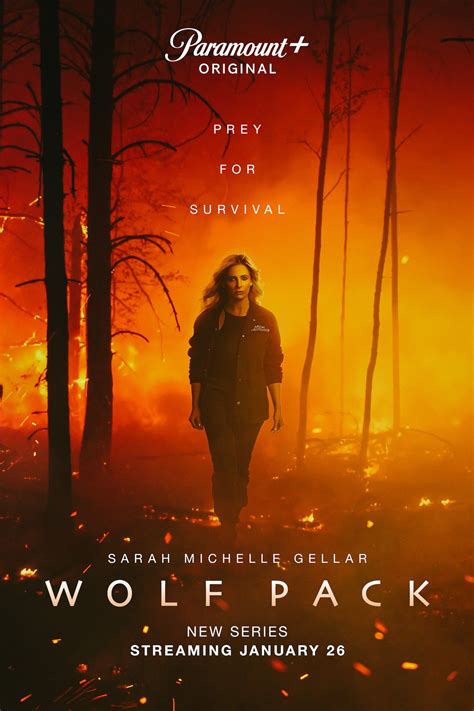 Wolfpack Season 2