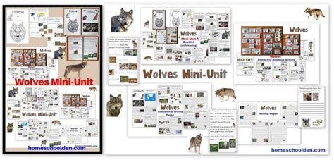 Wolves Mini Unit Homeschool Den Wolves Of Yellowstone Worksheet - Wolves Of Yellowstone Worksheet