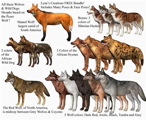 wolves races