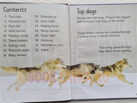 Wolves Usborne Beginners