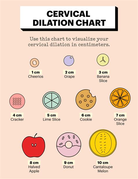 Women S Dilation Chart
