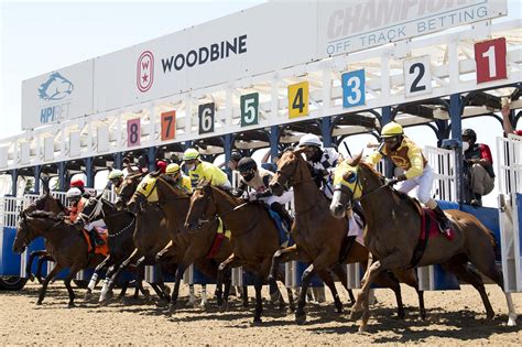 woodbine horse racing