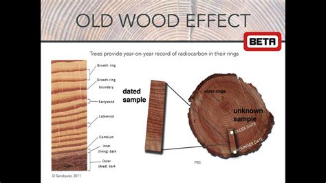 wooden carbon dating