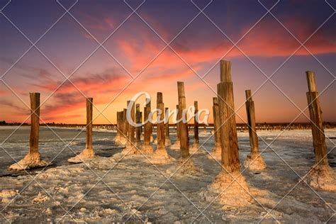 wooden pillars in dead salt sea - Photos by Canva