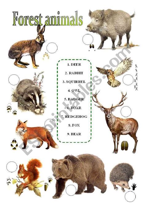 Woods Creatures Pdf Document Animals That Live In The Woods - Animals That Live In The Woods