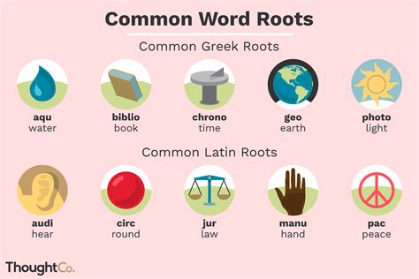 Word Origins Greek And Latin Roots And Affixes Word Origins Worksheet - Word Origins Worksheet