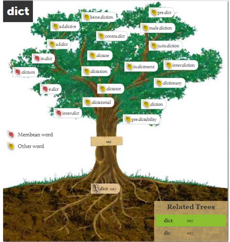 Word Roots Membean Science Root Word - Science Root Word